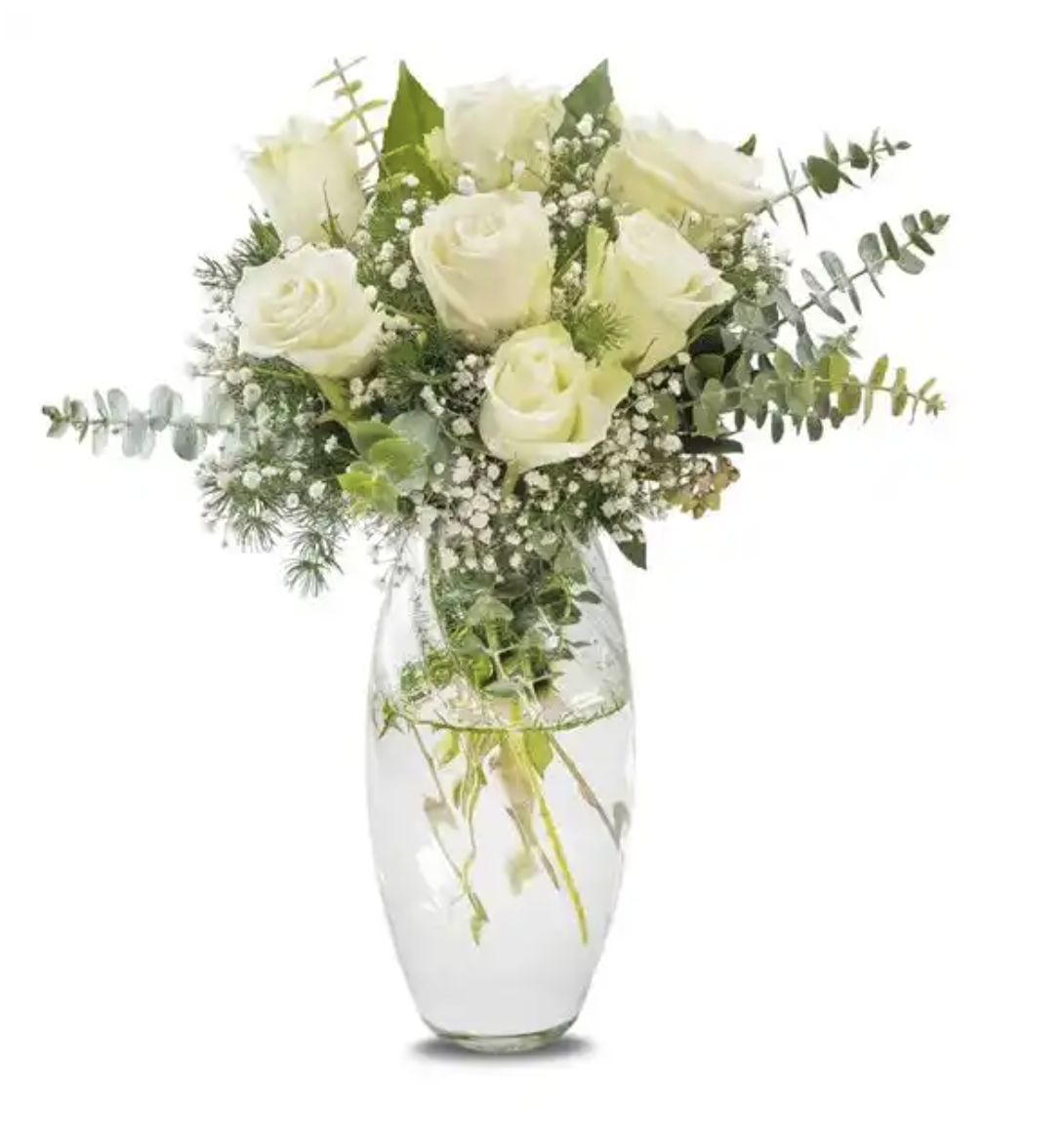 Peachy Dream Turuncu Gül